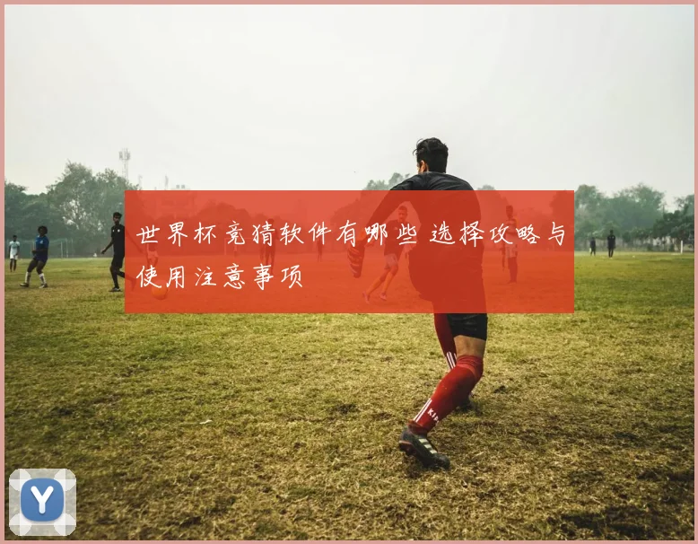 世界杯竞猜软件有哪些 选择攻略与使用注意事项