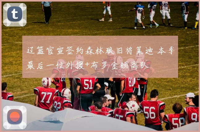 辽篮官宣签约森林狼旧将莱迪 本季最后一位外援+布罗金顿离队