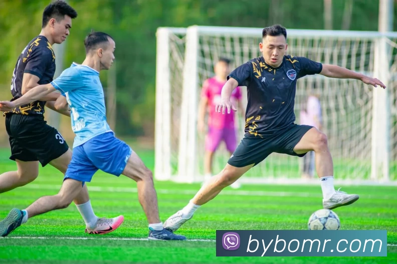 kaiyun电竞竞猜(中国)有限公司平台生态图